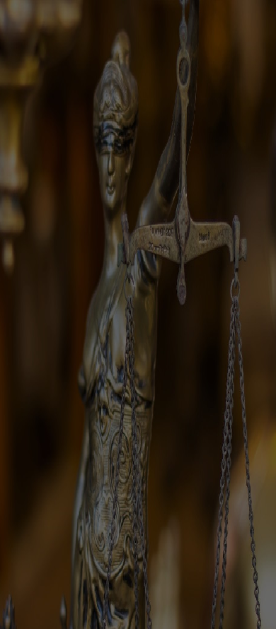 banner2